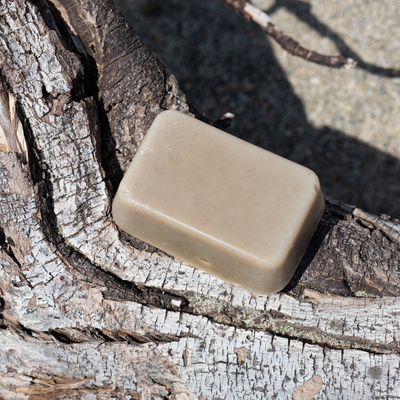 Shampooing solide (60g)